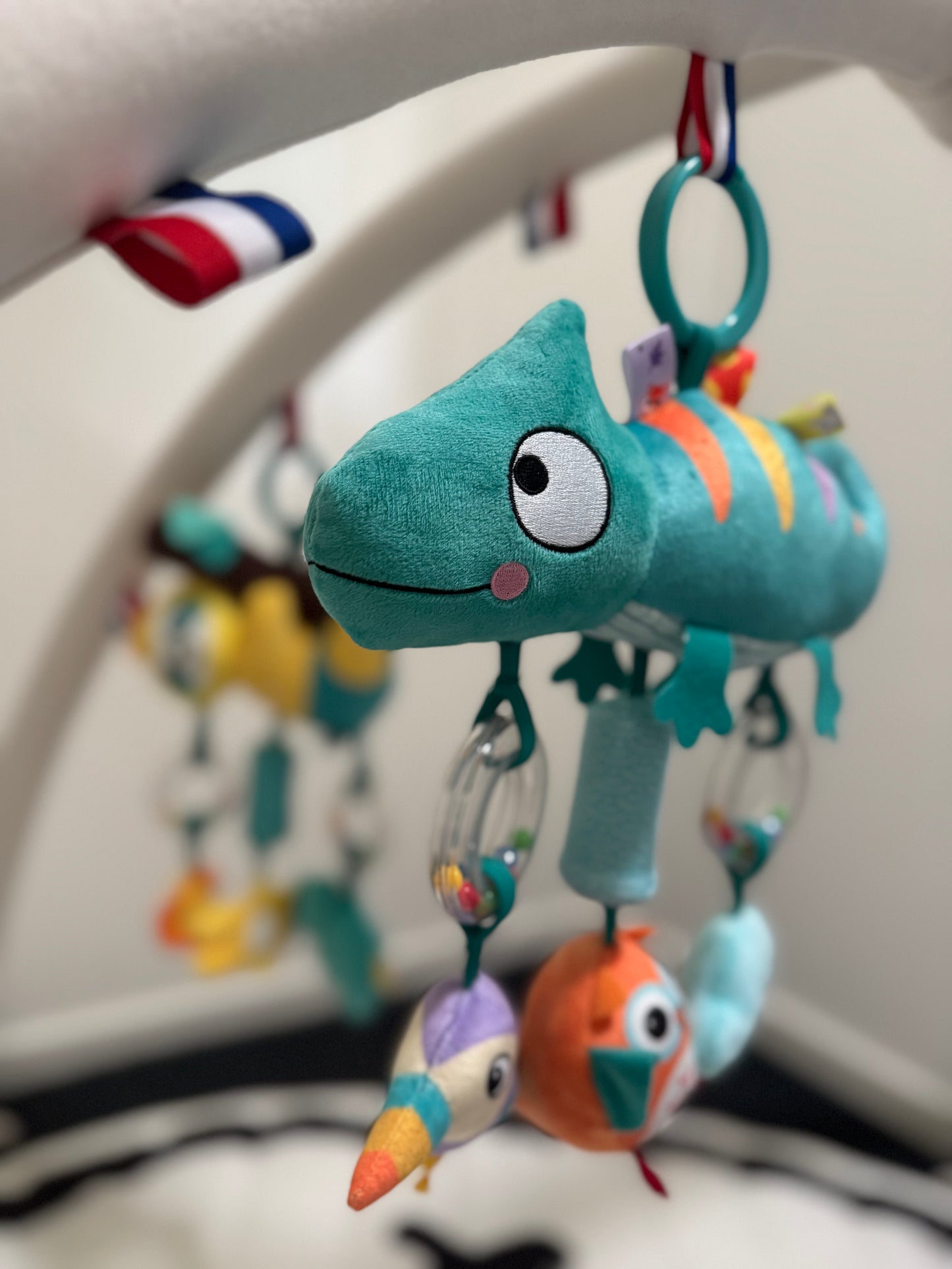 activities cuddly toy Chameleon