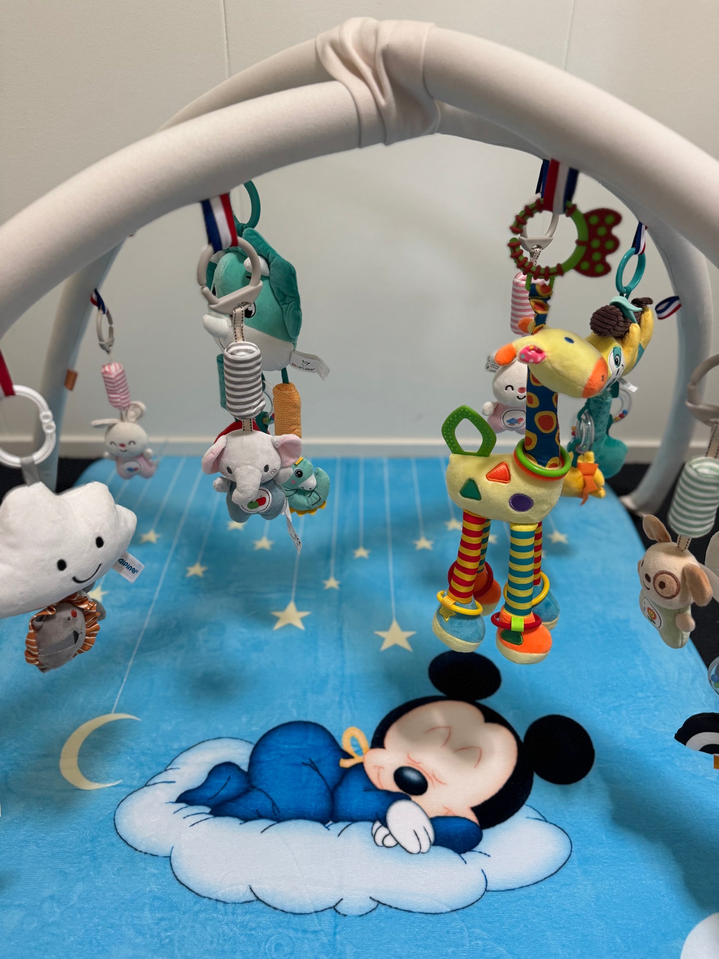 volwassen maat playgym