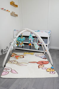 adult baby gym