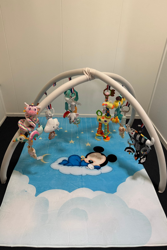 Volwassen maat baby gym