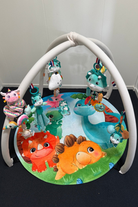volwassen baby gym