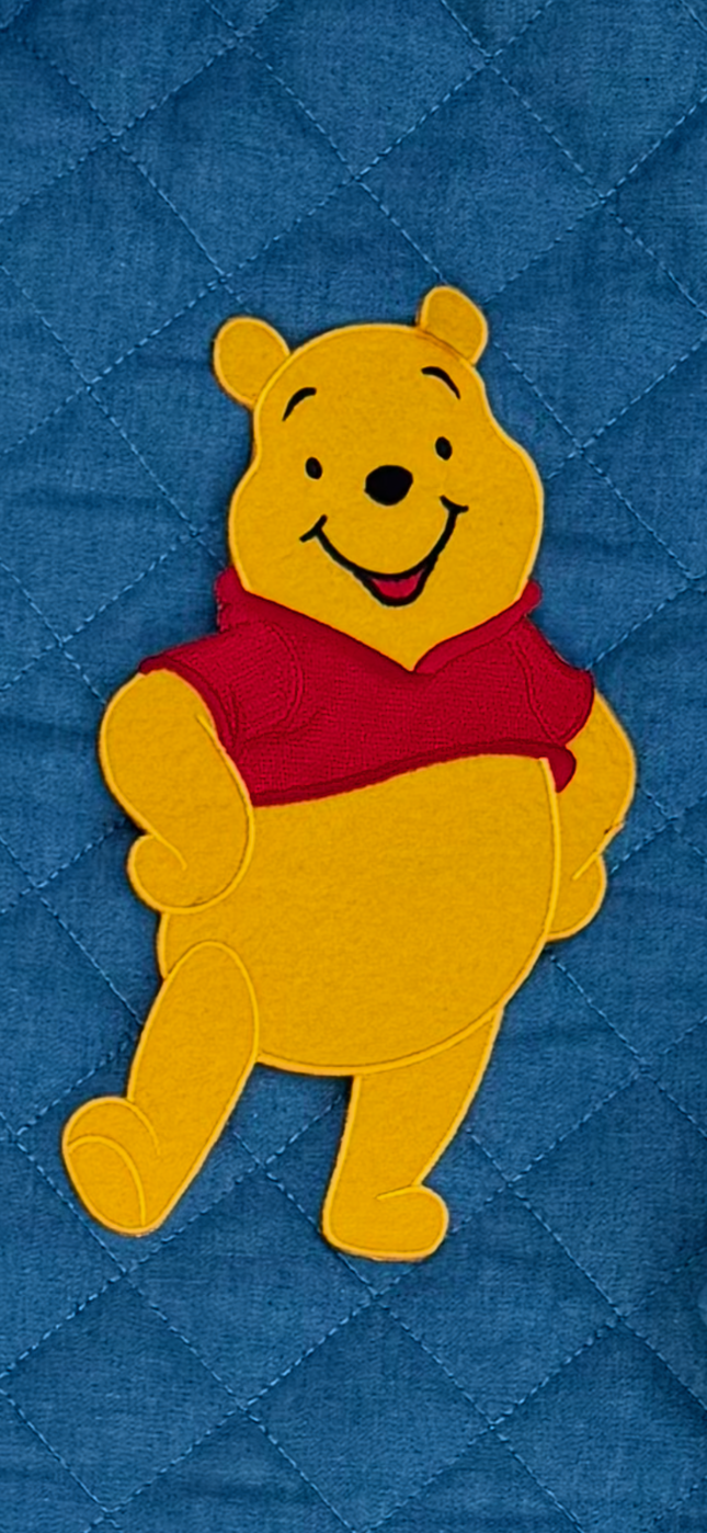 Padded lined teddy bear children's sleeping bag